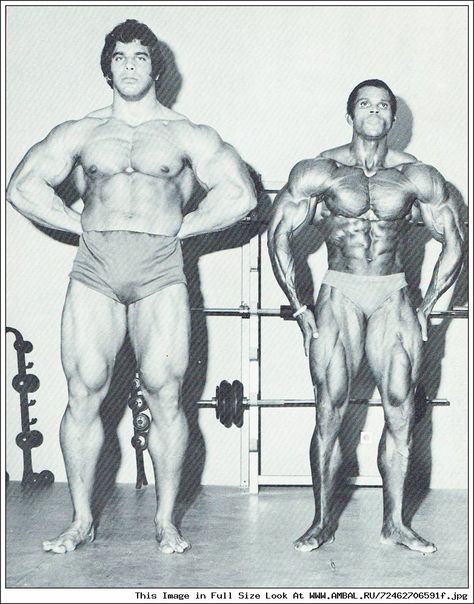 Ferrigno vs Nubret Serge Nubret, Hulk Movie, Lou Ferrigno, Arnold Schwarzenegger Bodybuilding, Schwarzenegger Bodybuilding, Black Power Art, School Nutrition, 1970s Tv Shows, Bodybuilding Pictures