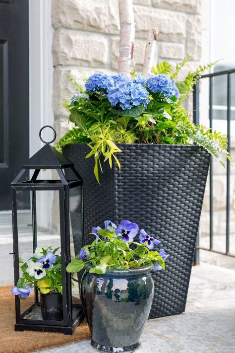 Potted plants are one of the easiest ways to dress up any space!  Be sure to check out these gorgeous porch planter ideas and inspiration front and back porches before sprucing up your own outdoor space. Front Porch Hydrangeas Planters, Texas Front Porch, Porch Planter Ideas, Entrance Outdoor, Summer Planters, Front Door Planters, Front Porch Plants, Front Porch Flowers, Front Porch Planters