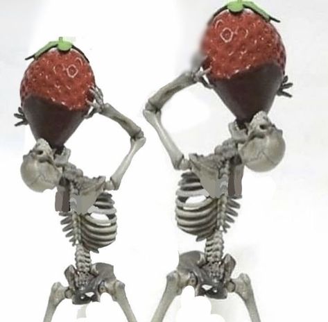 Skeleton Meme, Silly Skeleton, 밈 유머, Strawberry Chocolate, Spooky Scary, Silly Images, Silly Pictures, Really Funny Pictures, 귀여운 동물