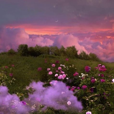 Green And Purple Aesthetic, Purple And Green Aesthetic, Purple Hour, Landscape Field, Aesthetic Landscape, Purple And Green, Green And Purple, Pink Purple, Coming Soon