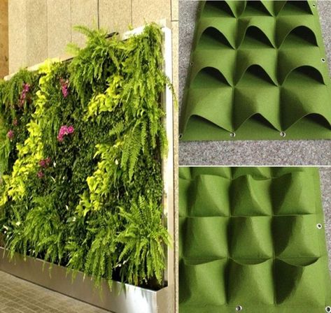 How to Start a DIY Vertical Garden (and 7 Ideas You Should Try) Living Wall Planter, Vertical Vegetable Garden, Vertical Garden Wall, Vertical Herb Garden, Vertical Garden Diy, Budget Garden, Vertical Gardens, Walled Garden, Herbs Indoors