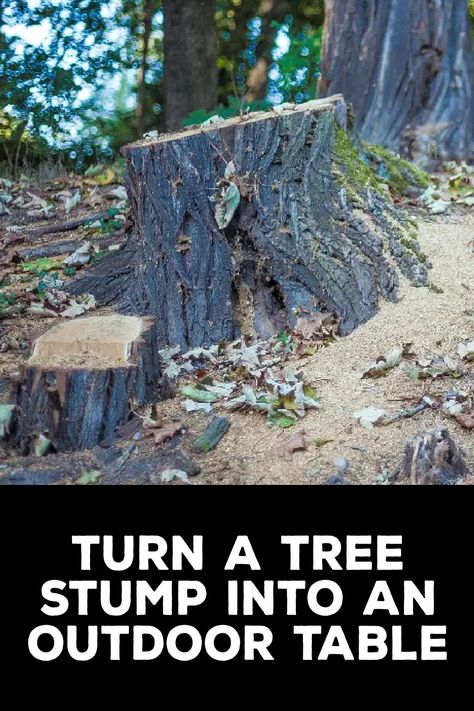 How to Turn a Tree Stump Into an Outdoor Table How To Decorate A Stump In Yard, Painted Tree Stumps, Stump Table Outdoor, Stump Out, Root Table, Tree Stump Table, Stump Table, Diy Desk Decor, Tree Stumps