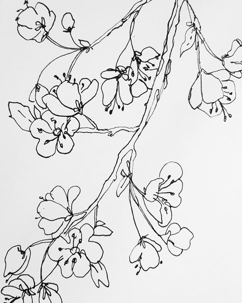 Apricot Flower Tattoo, Apricot Blossom Tattoo, Cherry Blossom Tattoo Minimalist, Cherry Blossom Line Art, Tight Tattoo, Apple Blossom Tattoos, Flower Tats, Blossom Drawing, Cherry Blossom Drawing