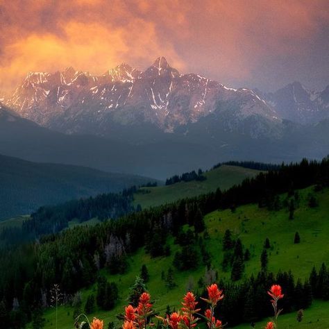 Lars Leber on Instagram: "White River National Forest a few summers ago. #colorado #wildflowers #summer #summervibes #nationalforest #whiterivernationalforest #vail #vailcolorado" Colorado Aesthetic, River Photos, Colorado Wildflowers, Vail Colorado, Instagram White, White River, Aesthetic Photos, National Forest, Aesthetic Photo