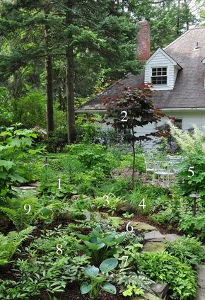 Shade Planting, Planting Schemes, Shade Garden Design, Ferns Garden, Shade Garden Plants, Three Dogs, Casa Exterior, Have Inspiration, Forest Garden