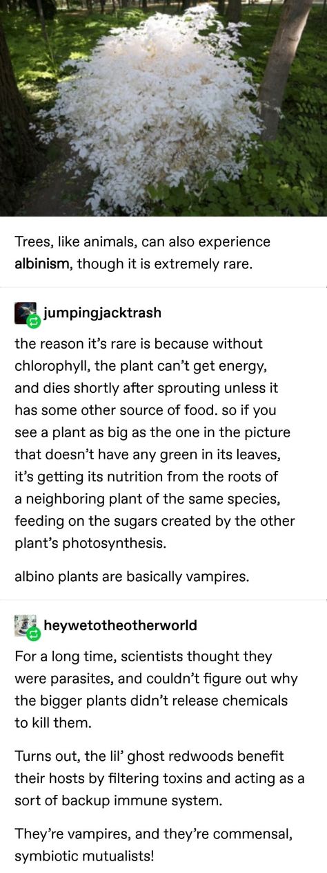 Flower Zombies Tumblr Post, Vampire In The Garden, Hilarious Tumblr Posts, Tumblr Post, Science Facts, Like Animals, Random Facts, The More You Know, What’s Going On