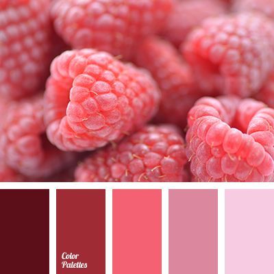 bright pink, color of raspberry, dark magenta, dark pink, designer palettes, designer's combination of colors, gentle pink, light pink In Color Balance, Color Generator, Color Concept, Palette Design, Warm Palette, Outfit Red, Design Seeds, Color Balance, Living Room Bathroom