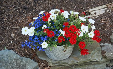 Red, white, and blue flowers in a hanging planter on the ground Red White And Blue Flower Pots Planters, Red White And Blue Flowers Garden, Red White Blue Flower Pots, Red White And Blue Garden Ideas, Red White And Blue Patio Decor, Red White And Blue Flower Bed, Red White And Blue Flowers In Pots, Red White And Blue Planter Ideas, Patriotic Flower Pots