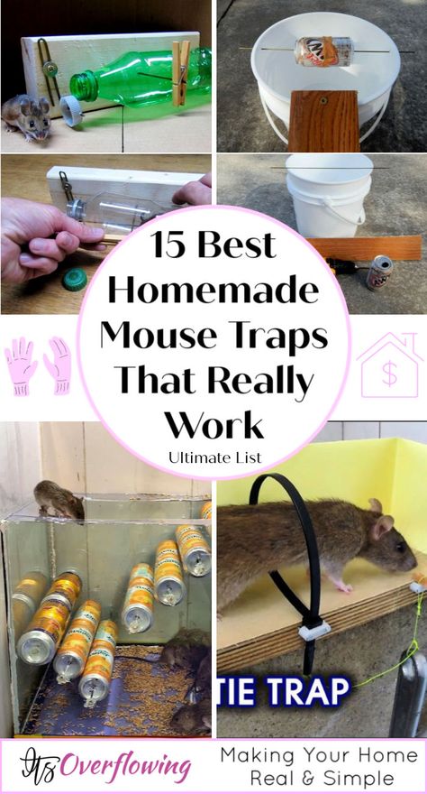 15 Best Homemade Mouse Trap Ideas That Really Work - how to make a homemade mouse trap Diy Mouse Traps Simple, How To Catch Mice, Diy Mouse Bucket Trap, Mouse Catcher Bucket, How To Make A Mouse Trap, Homemade Mouse Trap, Diy Mouse Poison, Diy Bucket Mouse Trap, Diy Bucket Mouse Trap 5 Gallon