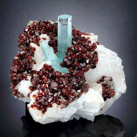 Aquamarine 💙 Spessartine Garnet ❤️ Feldspar 🤍 . . . Skardu District, Gilgit Baltistan Province, Pakistan 🇵🇰 . . . Coll / Photo: @fineartminerals . . . Email: noor@gandharagems.com or direct message @gandharagems for more fine minerals specimens ! Spessartine Garnet, Red Beryl, Gems Crystals, Gilgit Baltistan, Fine Minerals, Mineral Specimen, Rocks And Minerals, Aquamarine, Garnet