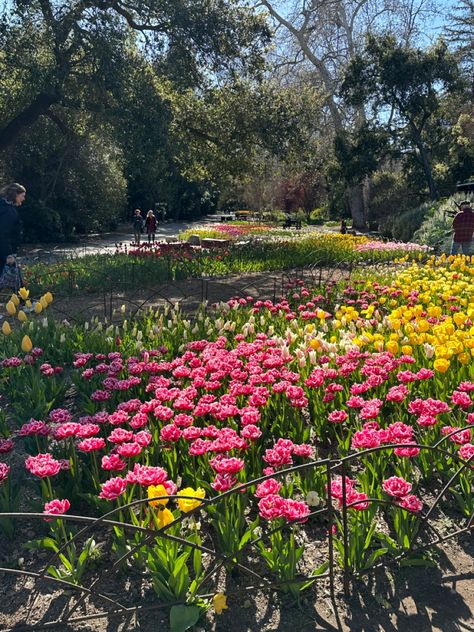 #descanso #gardens Descanso Gardens, Quince, Mood Board, Angeles, Notebook, California, Bed, Flowers, Music