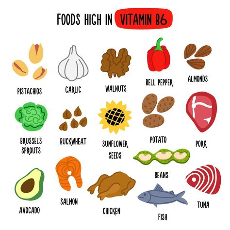 Foods High in vitamin B6. Vector illustration with healthy foods rich in vitamin B6. Organic Food Collection B6 Foods, Vitamin B6 Foods, Vitamin B Foods, Vitamin A Foods, Tuna Avocado, B12 Deficiency, Vitamin B12 Deficiency, Food Collection, Health Vitamins