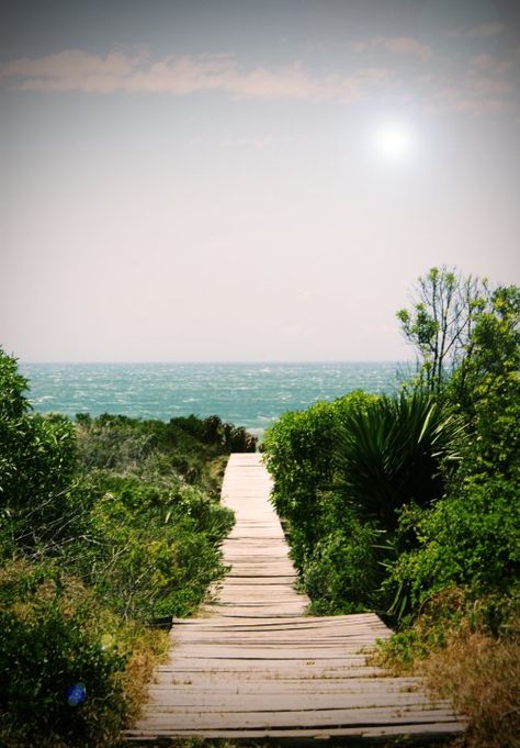 Jeffreys Bay, SA Jeffreys Bay South Africa, Port Elizabeth South Africa, Jeffreys Bay, Board Walk, Professional Surfers, Africa Photography, Port Elizabeth, Eastern Cape, Holiday Places