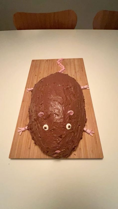 Rat Cakes Funny, Ugly Birthday Cakes, Cursed Birthday Cake, Funny Cake Decorating, Cake Decorating Funny, 17th Birthday Cakes, Rat Cakes, Cake Ideas Funny, Funny Cake Designs