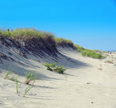 Joe's Retirement Blog: Orleans Nauset Beach, Cape Cod National ... Cape Cod Beaches, John Muir, We Fall In Love, Snack Bar, Ocean Art, Small World, Cape Cod, Massachusetts, Travel Destinations