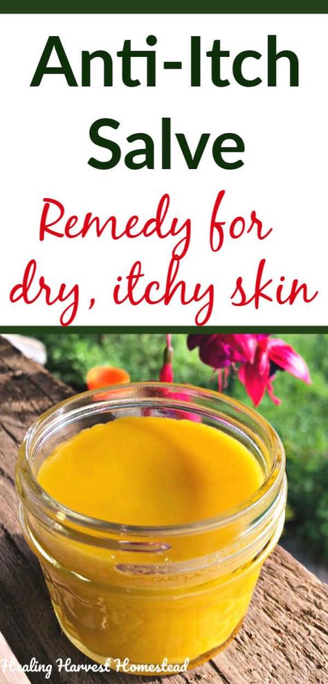 Have itchy skin? Here is a natural herbal salve that is a great remedy for itchy skin caused by dryness, rashes, bug bites, etc. It's an all purpose soothing salve for itching, inflamed skin. This recipe for herbal healing skin salve is easy to make and meant to soothe irritated and itchy, scaly skin. #salve #homeremedy #itchy #skin #skinsalve #itchyskinsalve #diy #howtomake #recipe #skincare #homemade #handmade #healingharvesthomestead Dandelion Salve, Itchy Skin Remedy, Rashes Remedies, Salve Recipes, Herbal Salves, Itching Skin, Scaly Skin, Dry Itchy Skin, Anti Itch