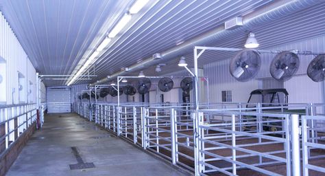 Cattle Barn Designs, Show Cattle Barn, Livestock Barn, Barn Layout, Show Steers, Show Cows, Cattle Barn, Barn Stalls, Goat Barn