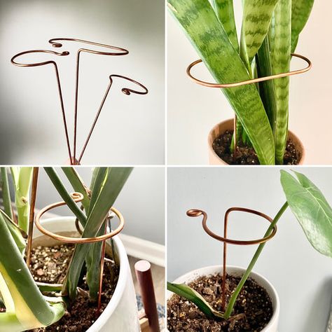 Our handcrafted plant accessories provide support for your plant's growth and give your plant a unique shape and style. Choose from a handcrafted copper or steel trellis or plant stick, in a variety of shapes and heights. Zz Plants, Plant Sticks, Plant Stakes, Inside Plants, Trellis Plants, Macrame Plant Hangers, Plant Supports, Deco Floral, Propagating Plants