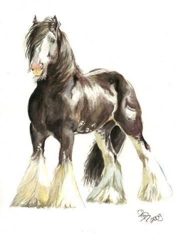 Horse Tattoos, Watercolour Animals, Equine Artwork, Horse Art Drawing, Stippling Art, Shire Horse, Horse Sketch, Horse Illustration, Horse Artwork