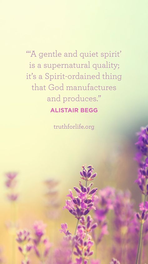 “‘A gentle and quiet spirit’ is a supernatural quality, it’s a Spirit-ordained thing that God manufactures and produces.” —Alistair Begg How To Have A Gentle And Quiet Spirit, Quiet Spirit Quotes, Gentle And Quiet Spirit, Quiet Spirit, Godly Relationship Quotes, Heaven Is Real, Alistair Begg, Gentle Spirit, Virtuous Woman