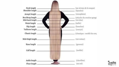 Hair Length Chart: An Accurate Guide to Your Desired Hair Length Dreadlocks Hairstyles For Women, Hair Length Guide, Hair Growth Progress, Colored Dreads, Hair Chart, Mid Fade Haircut, Dreadlocks Hairstyles, Senegalese Twist Hairstyles, Long Dreads