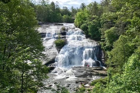 North Carolina Living, Cashiers North Carolina, North Carolina Hiking, Cashiers Nc, Waterfall Hike, Hiking Places, Forest Poster, Highlands Nc, Carolina Mountains