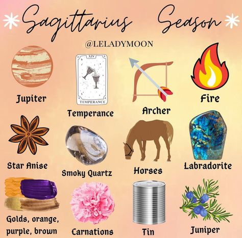 November Sagittarius, November Things, Astrology Magic, 12 Signs Of The Zodiac, Sagittarius Season, Moon Astrology, Happy November, Happy December, Zodiac Signs Sagittarius