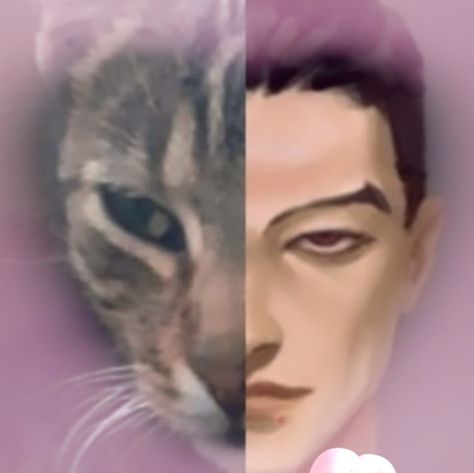 khada jhin from league of legends as my stupid deranged cat Bobi #jhin Jhin League Of Legends Memes, League Of Legends Funny, League Of Legends Icons, League Of Legends Icon, League Of Legends Jhin, League Of Legends Boards, League Of Legends Art, Jhin League Of Legends, I Need A Hobby