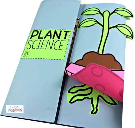 Interactive Plant Science Plant Lap Book, Plant Activities, Stem Resources, Lap Book, Interactive Journals, Science Notebook, Interactive Science, Active Learning, Interactive Science Notebook