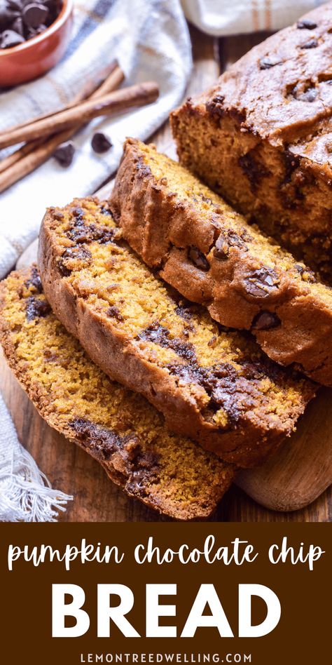 The BEST pumpkin bread, loaded with chocolate chips and packed with delicious flavor! Perfect for busy mornings, relaxing brunches, afternoon snacks, or even dessert! Once you try this Pumpkin Chocolate Chip Bread, there's NO going back! The Best Pumpkin Bread, Pumpkin Reading, Best Pumpkin Bread, Pumpkin Eater, Chocolate Chip Bread, Pumpkin Chocolate Chip Bread, Brunch Bread, No Going Back, Pumpkin Chocolate Chip