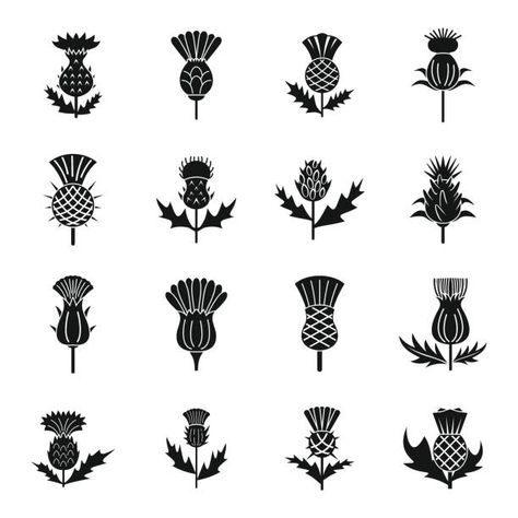 Thistle Tattoo Black, Thistle Logo, Thistle Flower Tattoo, Scottish Thistle Art, Scotland Tattoo, Scottish Thistle Tattoo, Scottish Tattoo, Scottish Tattoos, Scottish Symbols