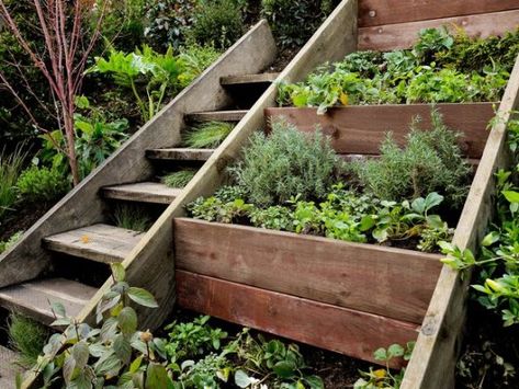 Herb Garden Wall, Landscaping On A Hill, Natural Landscaping, Sloped Backyard, Garden Stairs, Hillside Landscaping, Sloped Garden, Garden Steps, Landscaping Tips