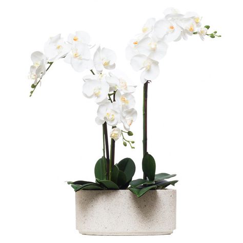 White Orchid Arrangement, Orchid Flower Arrangements, Silk Orchids, White Terrazzo, Orchid Arrangements, Faux Flower Arrangements, Silk Floral Arrangements, White Orchids, Faux Plants