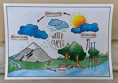 The Water Cycle Project Poster, Water Cycle Picture, Water Cycle Diagram Drawing, Life On Land Drawings, Water Cycle Diagram Science, Water Cycle Poster Ideas, Water Cycle Aesthetic, Water Cycle Poster Project For Kids, Condensation Drawing