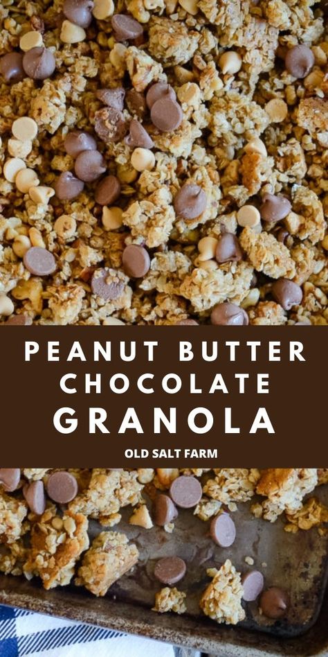 Peanut Butter Granola Clusters, Granola Flavors, Peanut Butter Chocolate Chip Granola, Peanut Butter Granola Recipe, Bakery Snacks, Granola Homemade, Chocolate Chip Granola, Easy Granola Recipe, Granola Recipe Healthy