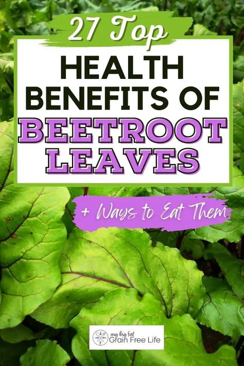 27 Top Health Benefits of Beetroot Leaves + Ways to Eat Them Beet Leaves Benefits, Benefits Of Beetroot, Beet Plant, Beetroot Benefits, Raw Beets, Fresh Beets, Herbal Plants, Beet Greens, Health Eating