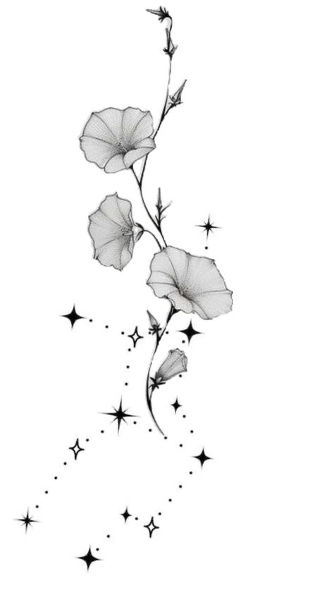 Virgo Flower, Constellations, Flowers