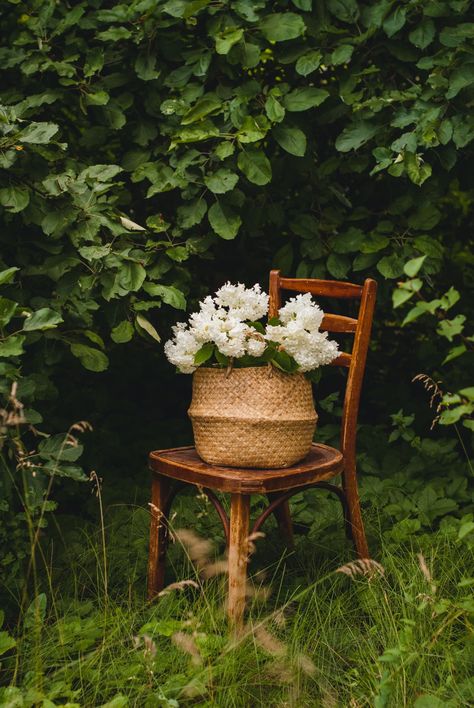 Floral Chair, Life Paint, Chair Furniture, Winter Photo, Outdoor Photoshoot, Painted Chairs, Garden Photography, Clear Glass Vases, Outdoor Photos