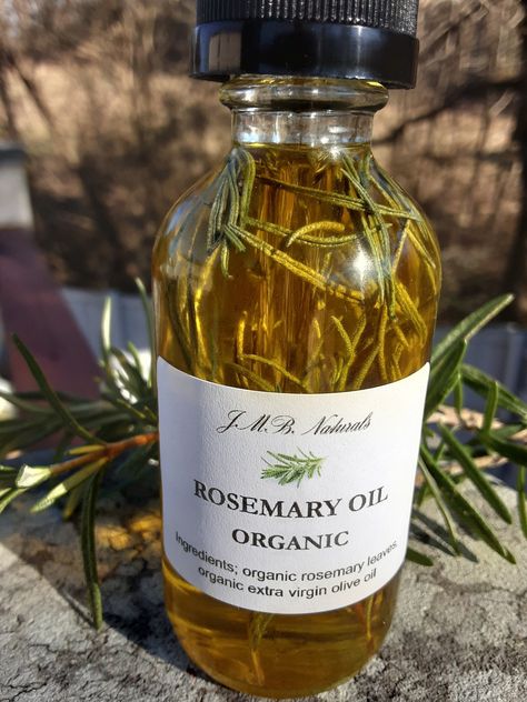 Organic Rosemary Oil| Infused Oil| Hair Growth Oil Organic Oil Packaging, Rosemary Oil Aesthetic, Rosemary Infused Oil, Hair Oil Packaging, Herbal Body Oil, Rosemary Hair Growth Oil, Herbal Hair Oil, Hair Oiling, Rosemary Hair Growth