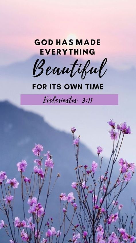 Bible Verses Phone Wallpaper, Ecclesiastes 3 11, Ethereal Light, Christian Quotes Wallpaper, Bible Verse Background, Comforting Bible Verses, Bible Words Images, Inspirational Quotes Wallpapers, The Holy Family