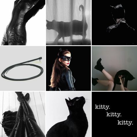 Cat Woman Aesthetic, Woman Aesthetic, Cat Woman, Selina Kyle, Aesthetic Photos, Catwoman, Aesthetic Photo, Aura, Batman