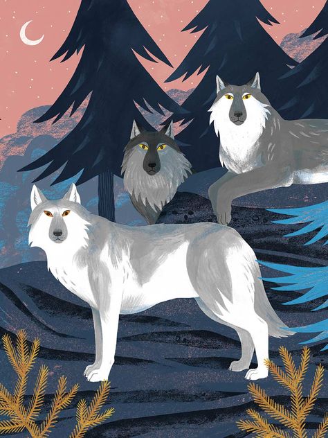 Kaley McKean, Illustrator of Howl like a Wolf! : The Childrens Book Review Wolf Illustration Drawing, Cute Wolf Illustration, Wolf Illustration Cute, Wolf Illustration Art, Wolves Illustration, Wolf Infographic, Howling Wolf Illustration, Wolf Book Cover, Wolf Vintage Illustration