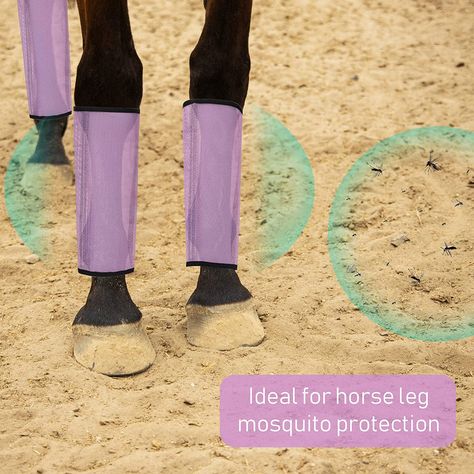 Set of 8 Mesh Fly Boots for Horse Loose Breathable Mesh Horse Boots Protective Horse Leg Wraps Horse Leggings for Preventing Flies and Mosquitoes Bites (Light Purple) Fly Control, Fly Boots, Leg Wraps, Mosquito Protection, Mosquito Bite, Horse Boots, Light Purple, Pet Supplies, Horses