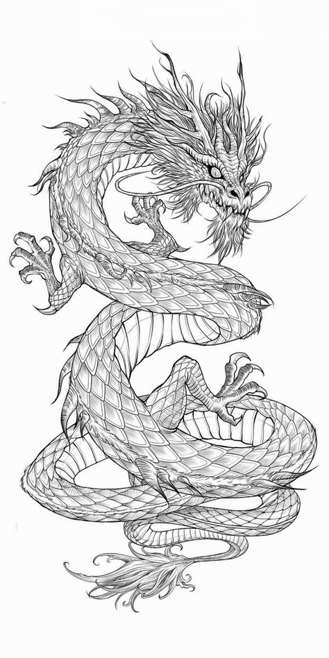 Japanese Dragon Tattoos Wrapped Around Arm, Dragon Tattoo Designs Realistic, Dragon Wrapped Around Arm Tattoo Design, Dragon Tattoo Men Leg, Japanese Tattoo Stencils For Men, Azure Dragon Tattoo, Men’s Dragon Tattoo, Chinese Dragon Tattoo Design, Traditional Japanese Dragon Drawing