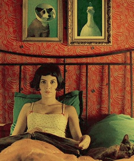 Moon to Moon: The Home of.... Amelie Poulain Michael Sowa, Poster Grafico, Audrey Tautou, Film Anime, Septième Art, I Love Cinema, Wes Anderson, Foto Art, Moving Pictures