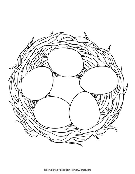 Free printable Spring Coloring Pages eBook for use in your classroom or home from PrimaryGames. Print and color this Eggs in a Nest coloring page. Birds Nest Coloring Page, Ostara Coloring Pages Free Printable, Chicken Coloring Pages Free Printable, Sheet Eggs, N For Nest, Bird Nest Drawing, Nest Pictures, Eggs Coloring Pages, Nest Drawing