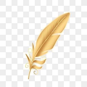 golden,birds,feather,feathers,golden feather,a feather Feather Png, Golden Feather, Golden Bird, Cartoon Clouds, Remove Background From Image, Yellow Sky, Feather Wedding, Paper Birds, Wedding Background