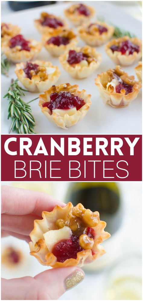 Cranberry Brie Bites - a quick and easy holiday appetizer! Melted brie and cranberry sauce in crisp phyllo cups with candied walnuts on top! Cranberry Tartlets, Brie And Cranberry, Cranberry Appetizer, Cranberry Bites, Cranberry Brie Bites, Best Holiday Appetizers, Brie Cranberry, Cranberry Brie, Thanksgiving Appetizer Recipes