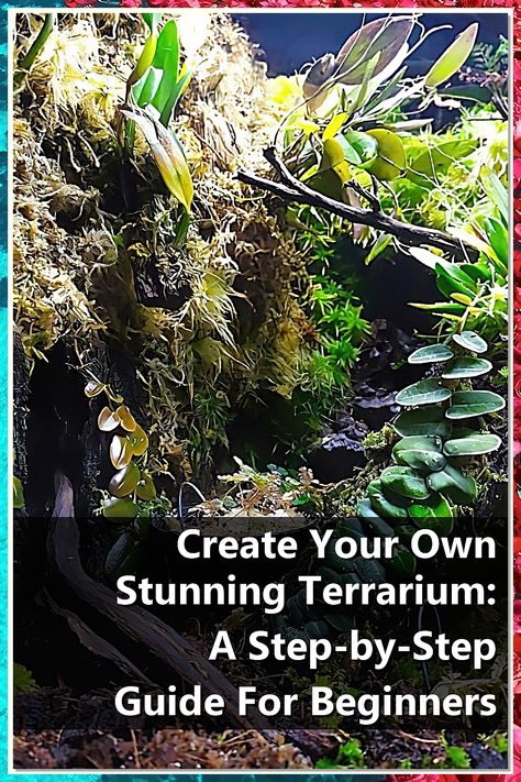 Discover the art of creating your own stunning terrarium with our step-by-step guide designed specifically for beginners. This engaging tutorial will walk you through the essential materials, plant choices, and design tips to craft a vibrant indoor garden. Perfect for home decor or as a thoughtful gift, a terrarium brings nature indoors and adds a touch of tranquility to any space. Dive into the world of terrariums and unleash your creativity today! Walk In Terrarium, Glass Garden, Nature Indoors, Design Tips, Indoor Garden, Step Guide, Terrarium, Walk In, Step By Step