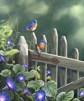 Bluebirds painting by Christopher Lyter Bluebird Painting, Blue Bird Art, Wildlife Paintings, Bird Pictures, Bird Drawings, Watercolor Bird, Morning Glory, Wildlife Art, Bluebird